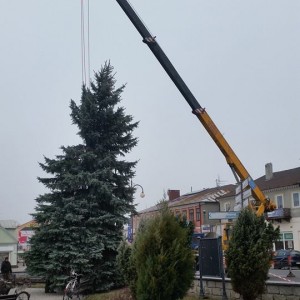 Transport i montaż choinki Międzyrzec Podlaski